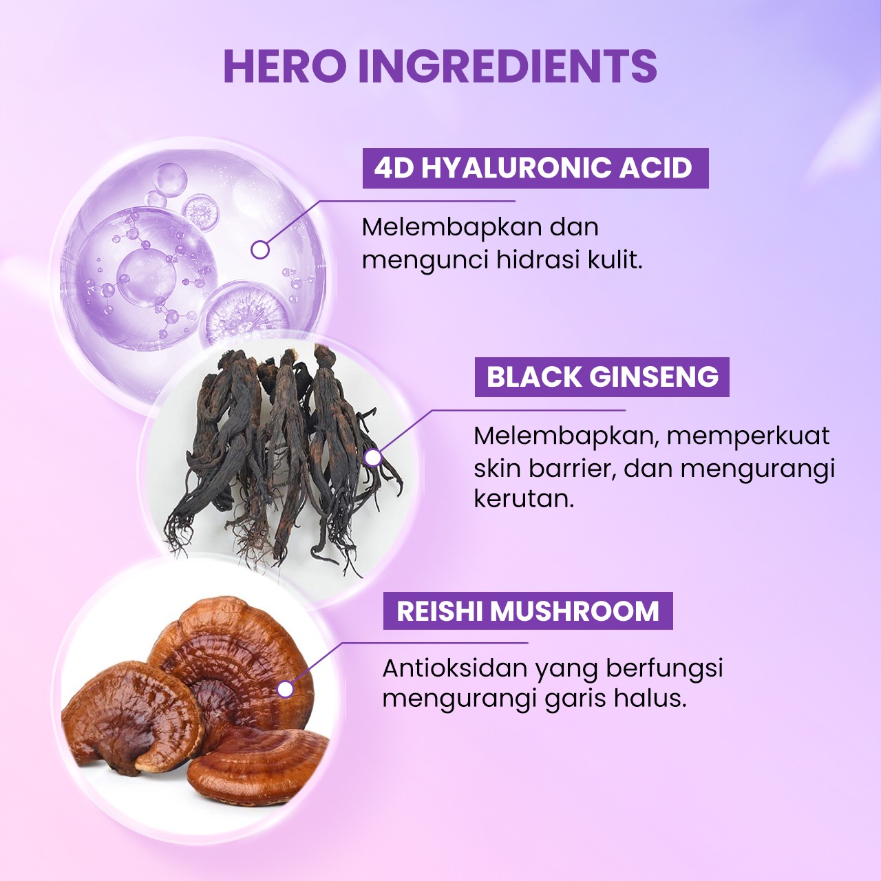 Scarlett Hyalu B5 + Reishi Mushroom & Bifida Serum